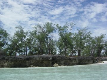 aldabra_atoll_resultat