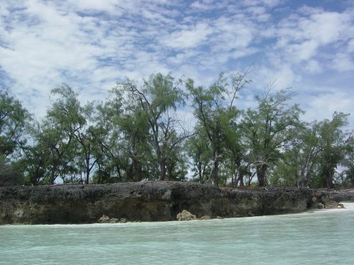 aldabra_atoll_resultat